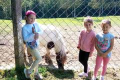 photo_5239990574092767444_y