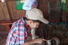 photo_5239990574092767445_y