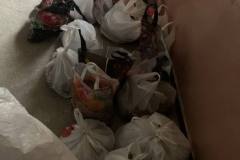 photo_5323440465804119976_y