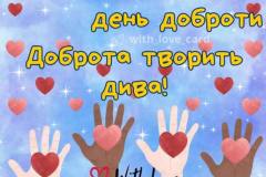 photo_5235595010076512131_y