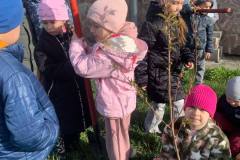 photo_5438583702880458902_y