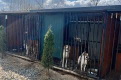 photo_5323627649072567590_y