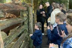 photo_5289567424540168301_y