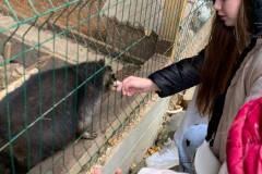 photo_5226476639884534002_y