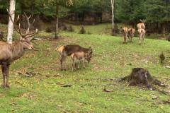 photo_5226476639884534003_y