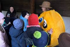 photo_5370846399261959523_y