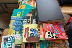 photo_5359304258769519107_y