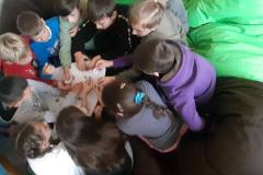 photo_5229169073278019148_y