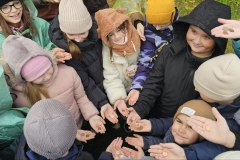 photo_5226558639403896637_y