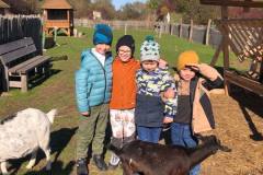 photo_5238072514712826654_y