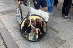 461166418_122099960402539410_5871993235223557476_n