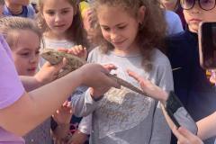 zobrazhennia_viber_2023-05-24_15-56-22-216