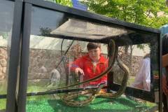 zobrazhennia_viber_2023-05-24_15-56-27-659