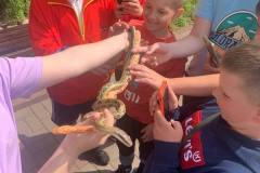 zobrazhennia_viber_2023-05-24_15-56-29-643