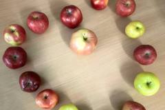 photo_5440542998237670290_y