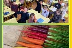 photo_5440542998237670294_y